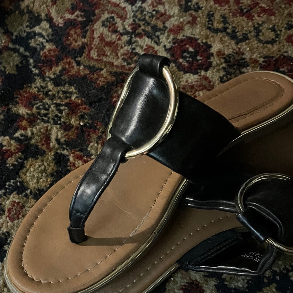 Enzo Angiolini Black and Tan Sandals